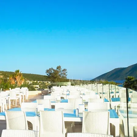 Hotel & 5*