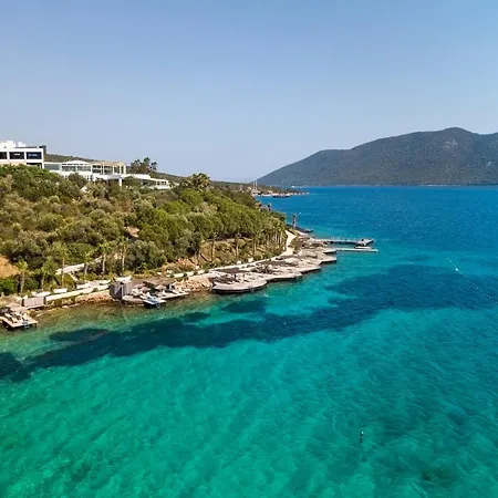 Hotel &