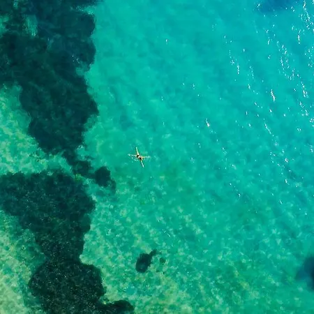 호텔 보드룸 홀리데이 리조트&스파 Bodrum