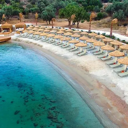 & Hotel 5*