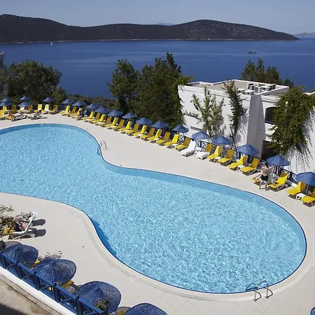 Hotel & 5*